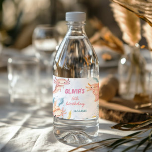 Vinho Rótulo de Garrafa de Água de Aniversário da Menina