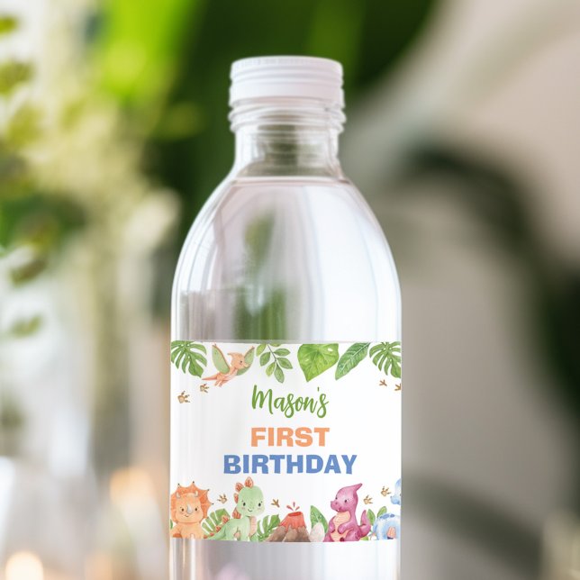 Vinho Rótulo de Garrafa de Água de Aniversário do Dinoss (Criador carregado)