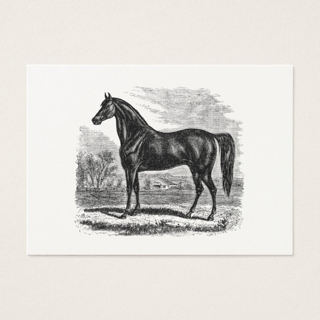 Vintage 1800s Horse - Modelo Morgan Equestrian (Frente)