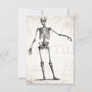 Vintage 1800s Skeleton Retro Skeletons Anatomia