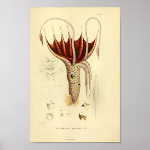 Vintage 1845 Guarda-chuvas - Impressão de arte col