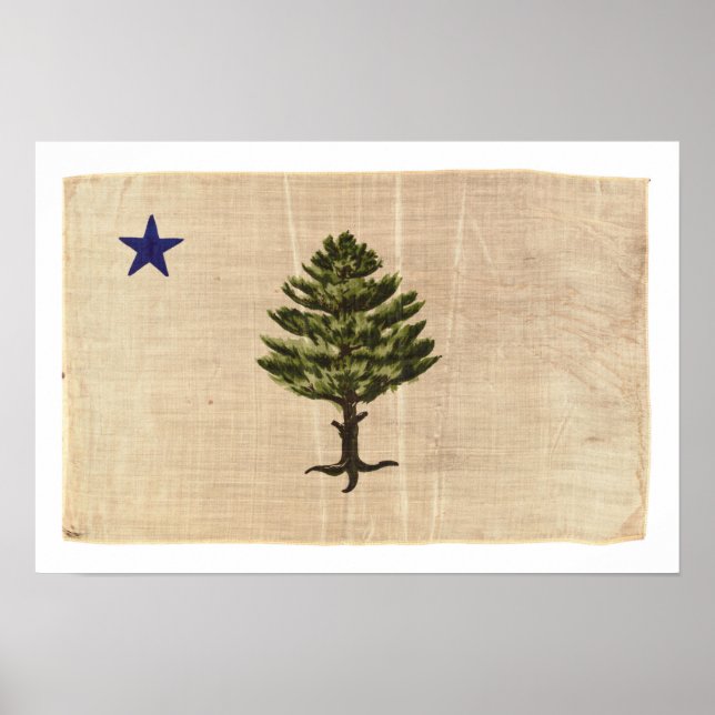 Vintage 1901 Maine Flag Impressão (Grande) (Frente)