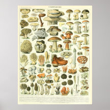Vintage Adolphe Millot Impressão Mushroom Poster