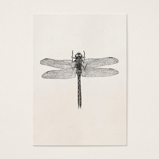 Vintage American Dragonfly Dragon Modelo (Frente)