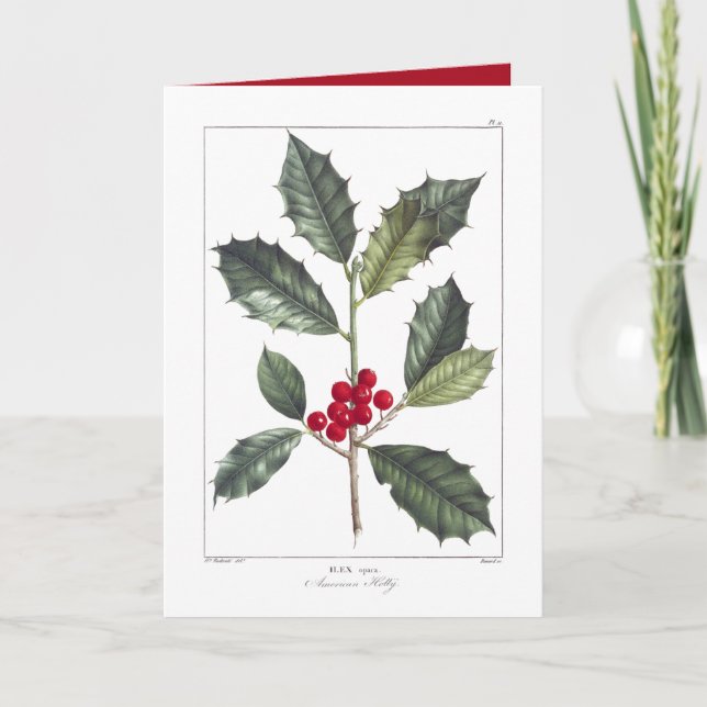 VINTAGE AMERICAN HOLLY CHRISTMAS GREEETING CARTÃO (Frente)
