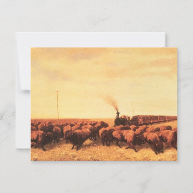 Vintage American West, detido pelo NH Trotter (Frente)