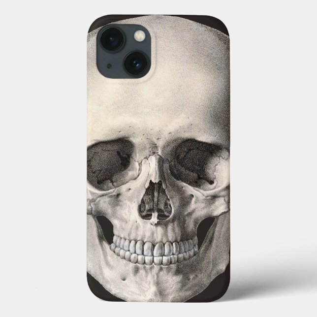 Vintage Anatomia Humana Skull, Esqueleto de Hallow (Verso)