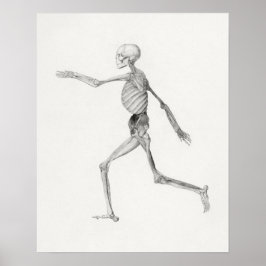 Vintage Anatomical Illustration Poster