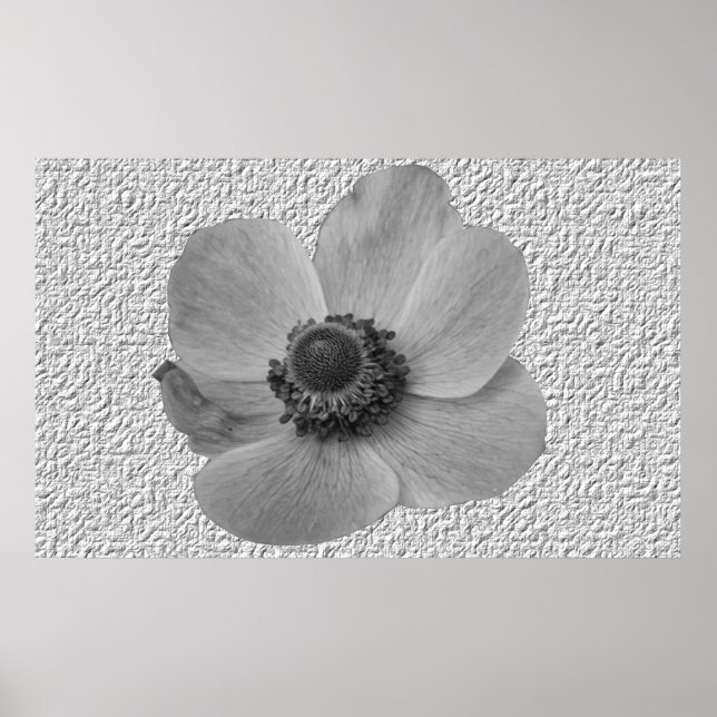 Vintage Anemone Flower Impressão (Frente)