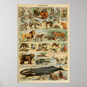 Vintage Animal Art Poster