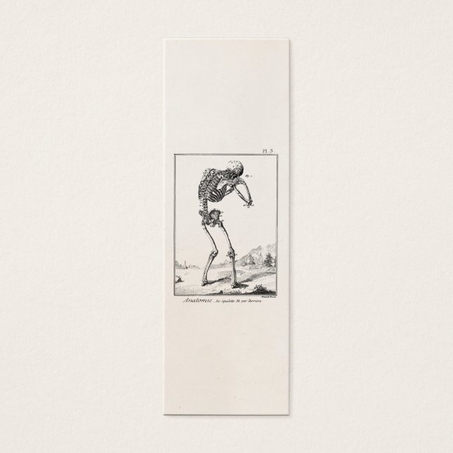 Vintage Antique Esqueleto Humano Anatomia Médica (Frente)