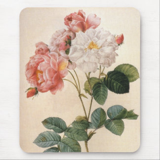 Vintage Art Rosa Watercolor Mousepad