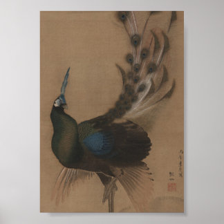 Vintage Asian Peacock Art Impressão