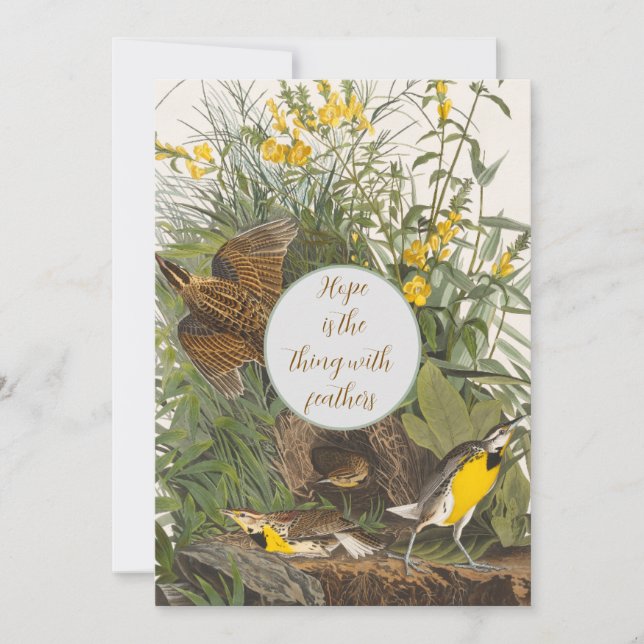 Vintage Audubon Meadowlark Impressão (Frente)