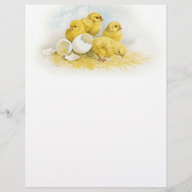 Vintage Baby Chickens (Frente)