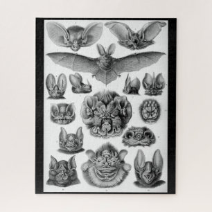 Vintage bats por Ernest Haeckel 525 quebra-cabeça