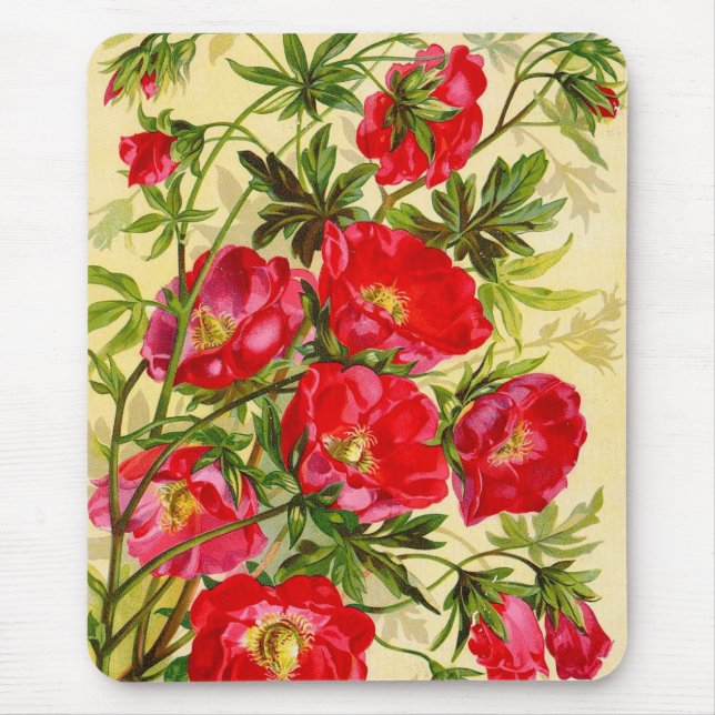Vintage Beauties Floral Mousepad (Frente)