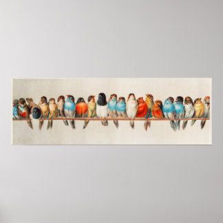 Vintage Bird Impressão