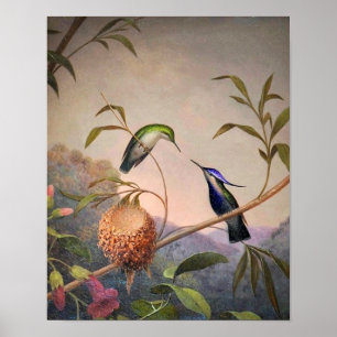 Vintage Bird Poster
