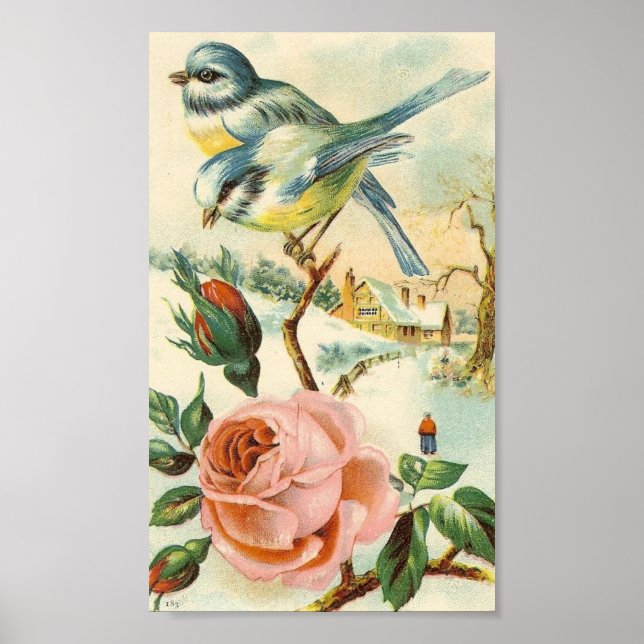 Vintage Bird Poster (Frente)
