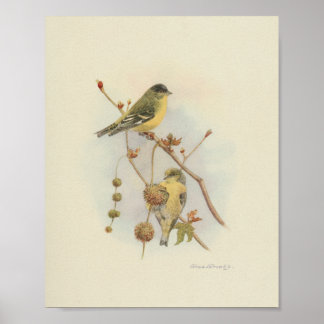 Vintage Bird Yellow Impressão