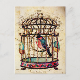 Vintage Birdcage - Cartão postal francês de arte