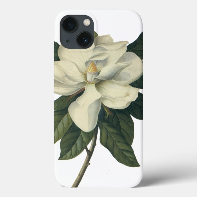 Vintage Blooming White Magnolia Blossom Flores (Verso)
