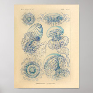 Vintage Blue Color Ernst Haeckel Art Impressão
