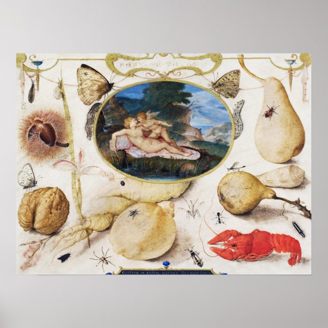 Vintage Botanical Illustration Poster (Frente)