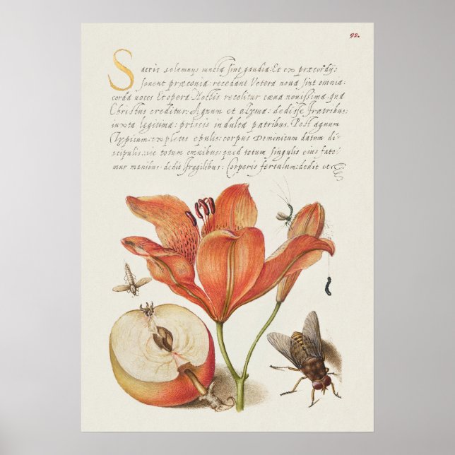 Vintage Botanical Illustration Poster (Frente)