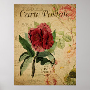 Vintage Botanical Poster - Rhododenron
