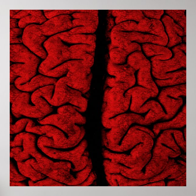 Vintage Brain Poster (Frente)