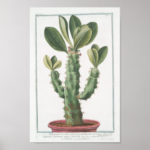 Vintage Cactus Botanical Poster Art (8" x 12")