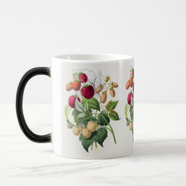 Vintage - Caneca de café de morango