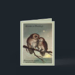 Vintage Charming Cartão de Natal Romântico com Cor<br><div class="desc">Essa imagem de duas corujas foi adaptada de um cartão-postal de natais vintages. A mensagem original está na frente da placa. A mensagem pode ser personalizada para muitas ocasiões diferentes.</div>