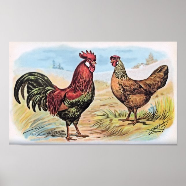 Vintage Chicken Impressão Rooster and Hen (Frente)