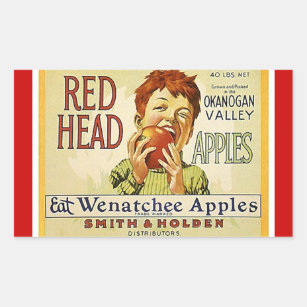 Vintage da etiqueta que anuncia maçãs principais