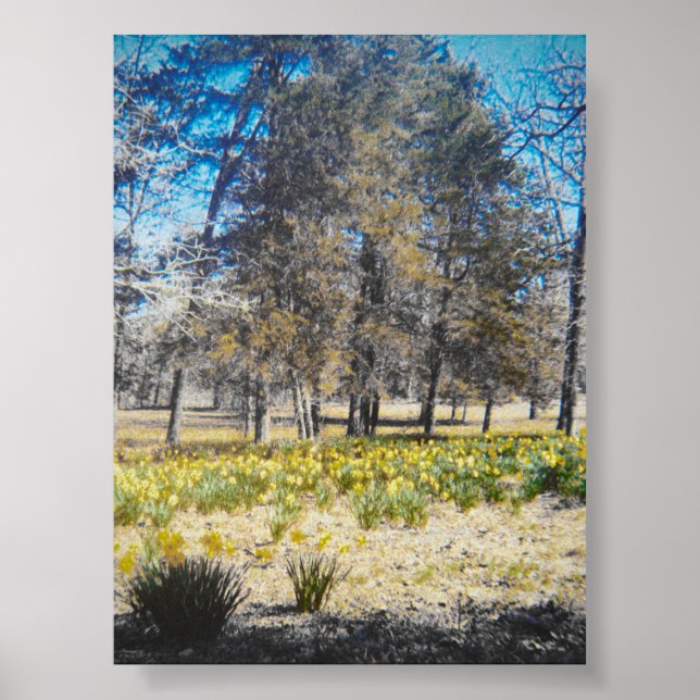 Vintage Daffodil Forest Poster (Frente)