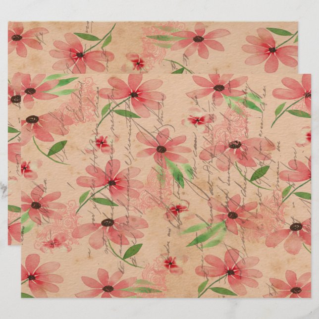 Vintage de Campo de Margarida Vermelha com Aquarel (Frente/Verso)