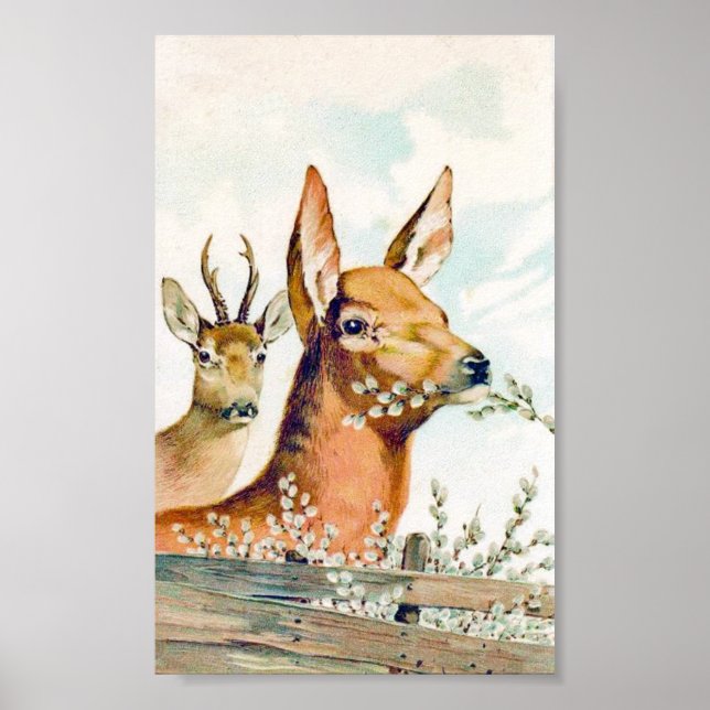 Vintage Deer Poster (Frente)