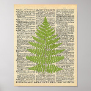 Vintage Dictionary Art Green Fern Frond Impressão