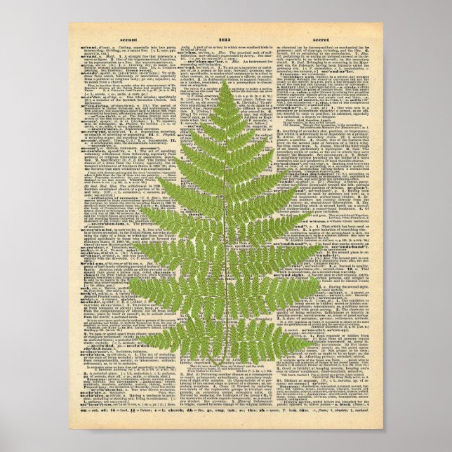 Vintage Dictionary Art Green Fern Frond Impressão (Frente)