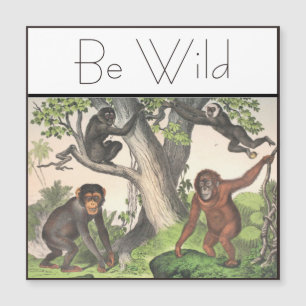 Vintage do chimpanzé macaco-inspiração