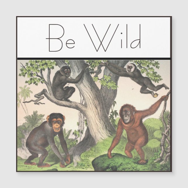 Vintage do chimpanzé macaco-inspiração (Frente)