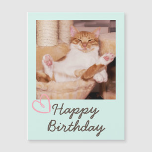 Vintage Engraçado Gato e Feliz Aniversário