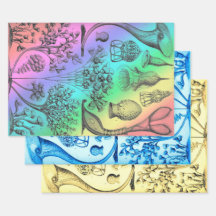 Vintage Ernst Haeckel Recolheu Vida Marinha