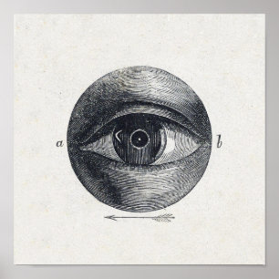 Vintage Eye Illustration Poster