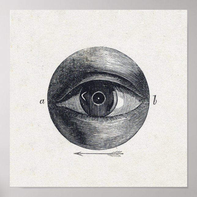 Vintage Eye Illustration Poster (Frente)