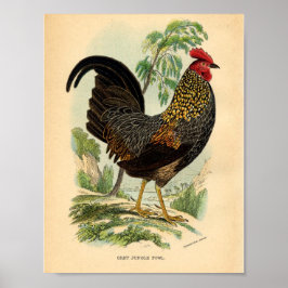 Vintage Farming Victorian Impressão Rooster