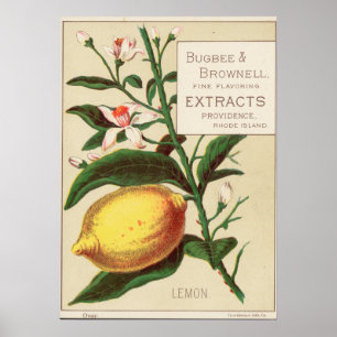 Vintage Flavor Extract Advertisement Poster